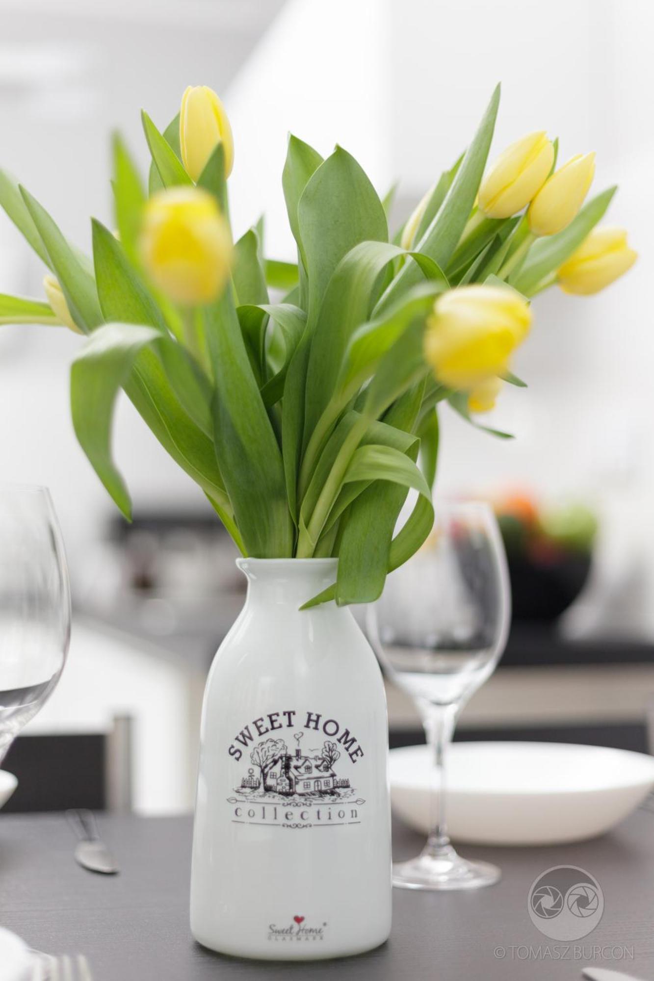Apartment Royal II Białystok Dış mekan fotoğraf